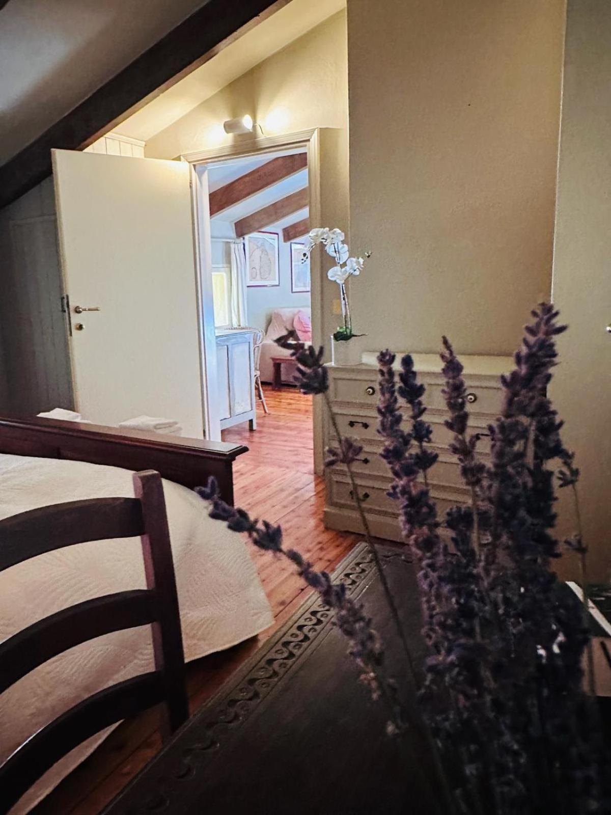 Garden Loft By Veneto Villa Villa Osti Extérieur photo